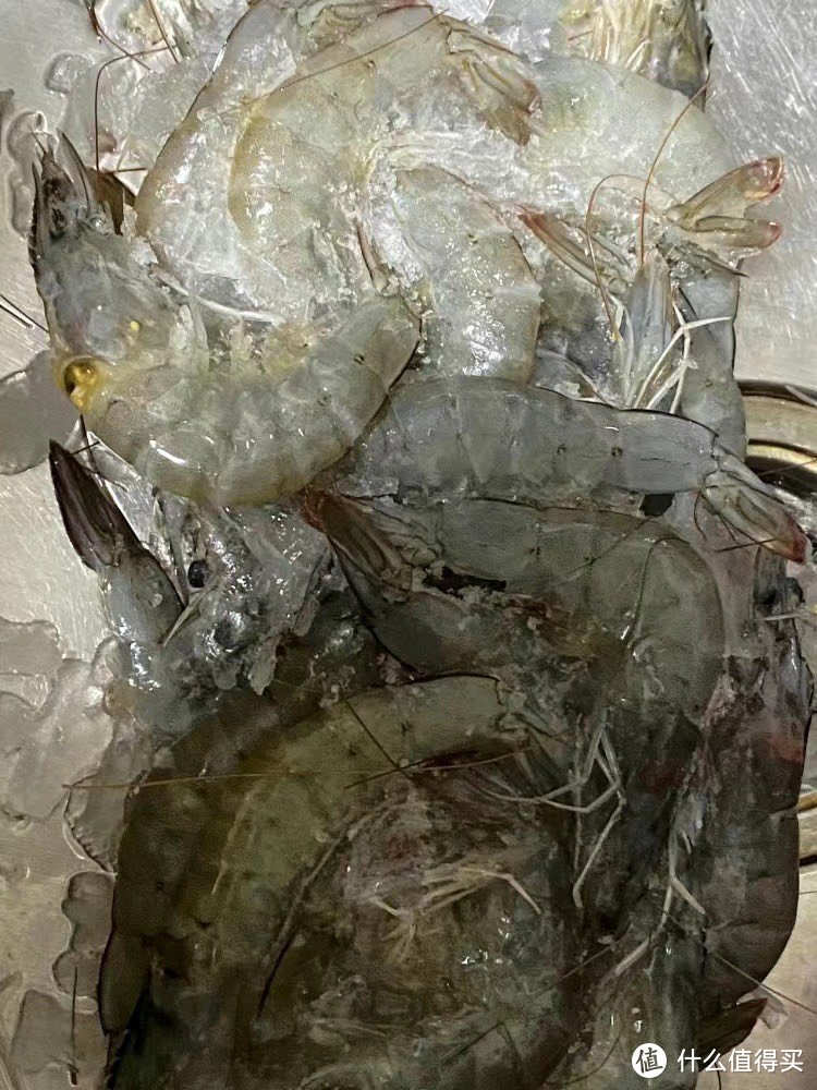 国联整箱4斤16-19cm超大白虾