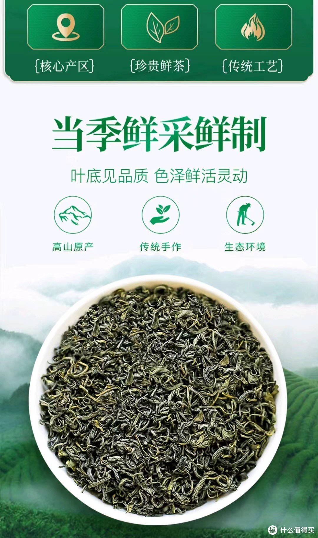 品味黄山毛尖的春天