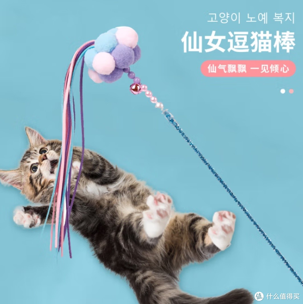 猫咪专属玩具推荐：打造与喵星人的欢乐时光