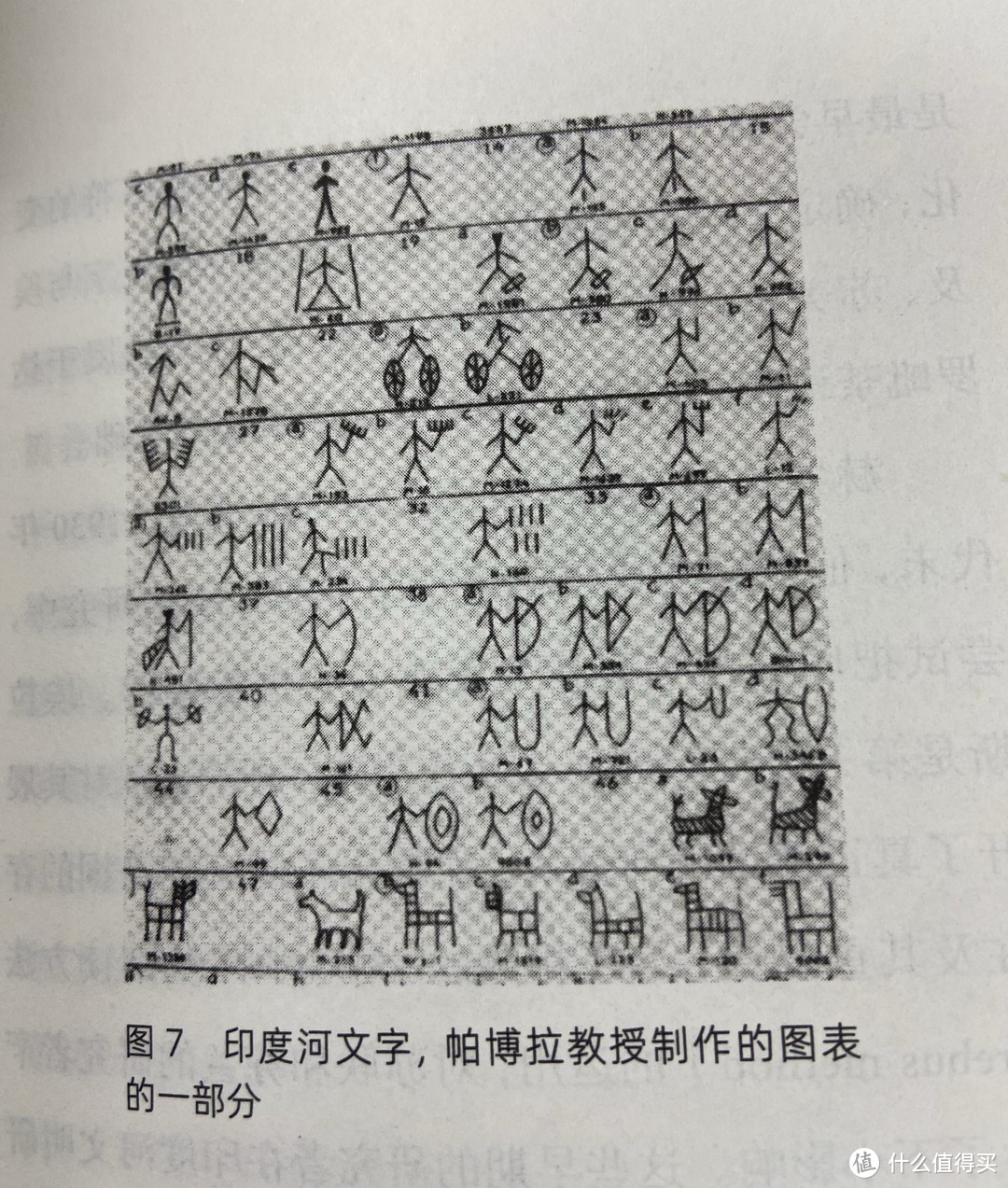 从故事、遗迹、瓷器、石刻、咖喱饭、绘画、电影、报纸理解印度文化