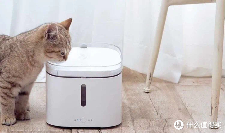 智能宠物饮水机