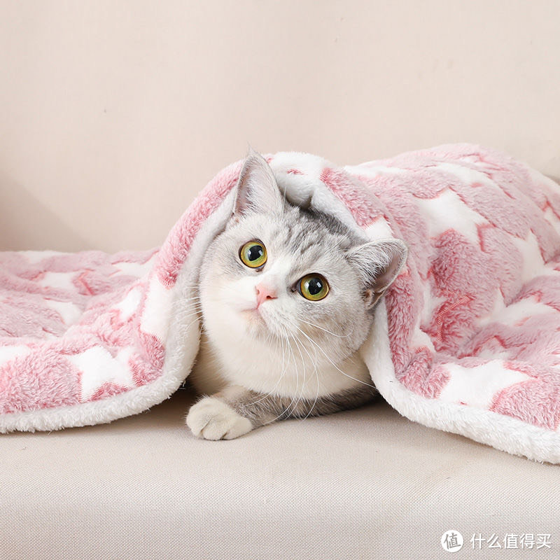四季通用的宠物垫子：让你家的宠物在寒冬里享受温暖的拥抱