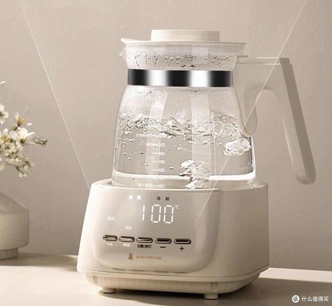 电热水壶哪个牌子质量好？五大巅峰品牌汇总分享！