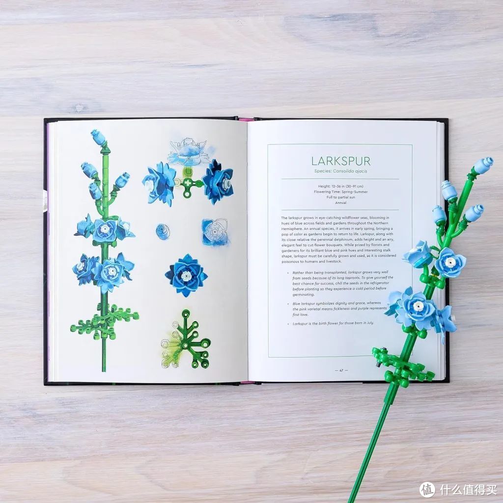 字里行间洋溢着春天，《乐高植物年鉴》图书现已在英国和欧洲发售