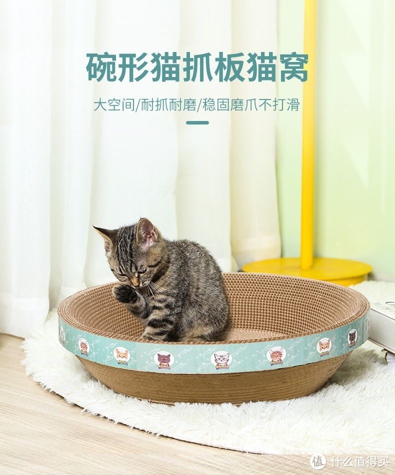 和你的小猫做朋友吧，给它也准备一个他最喜欢的猫抓板吧。