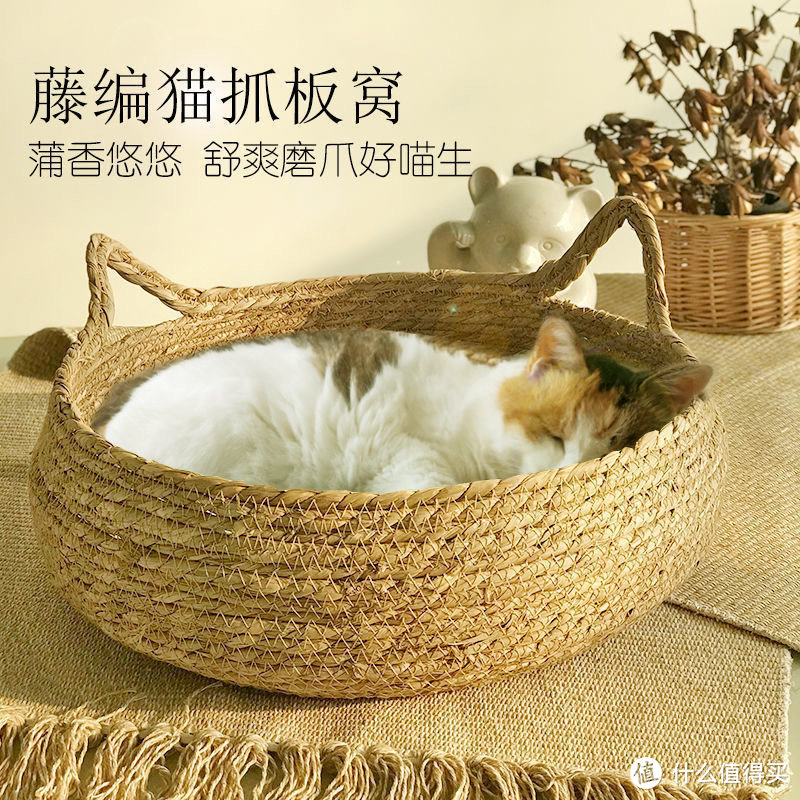 新藤编猫窝：四季适用的猫咪温暖家园🏠