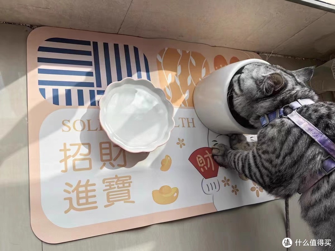 养猫必备神器！硅胶饭垫子，让猫咪用餐不再烦恼