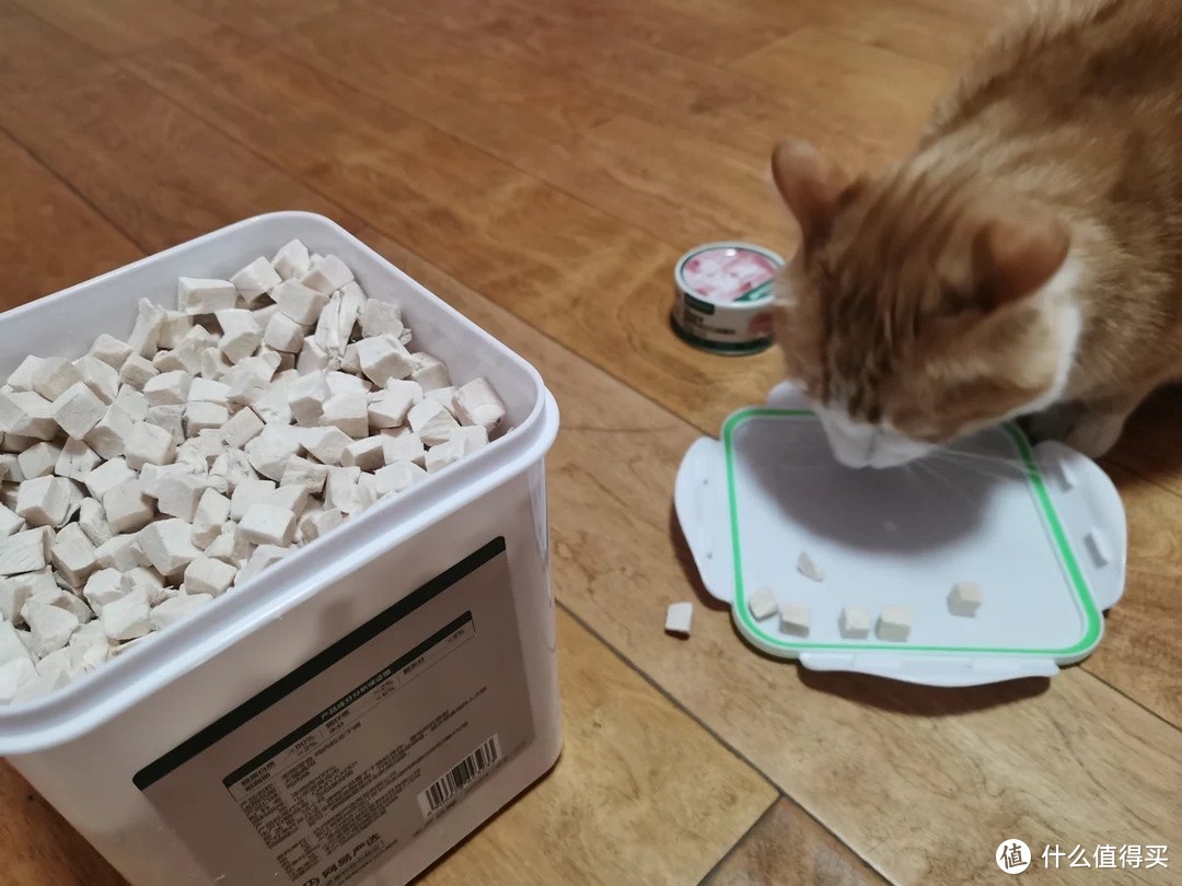 猫咪冻干食品：实用、营养与美味的完美结合