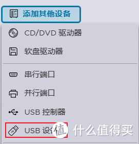 ESXI 虚拟机添加USB设备，菜单灰色