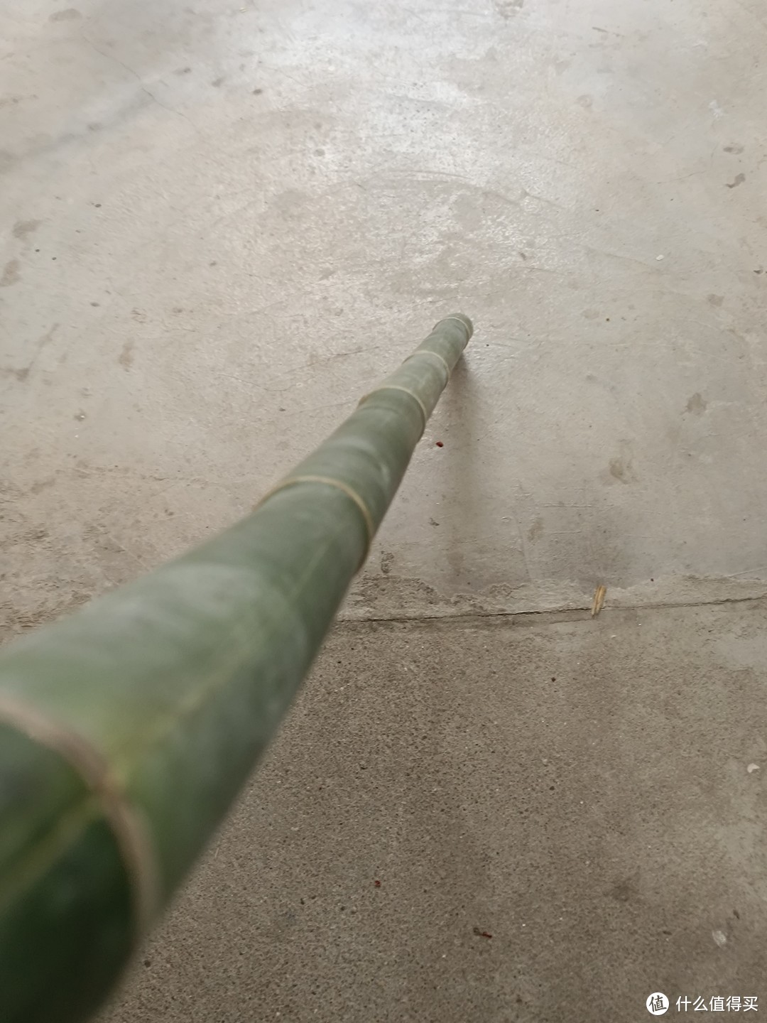 用竹子做钓鱼杆，射程20米，成为孩子王