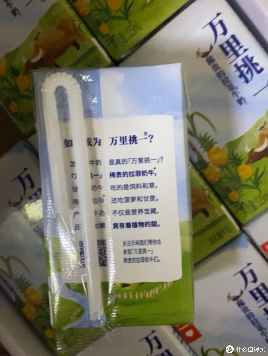 送长辈牛奶要走心，水牛奶高蛋白，低乳糖，好吸收