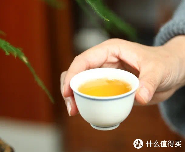 感受春茶，感受大自然的恩赐！