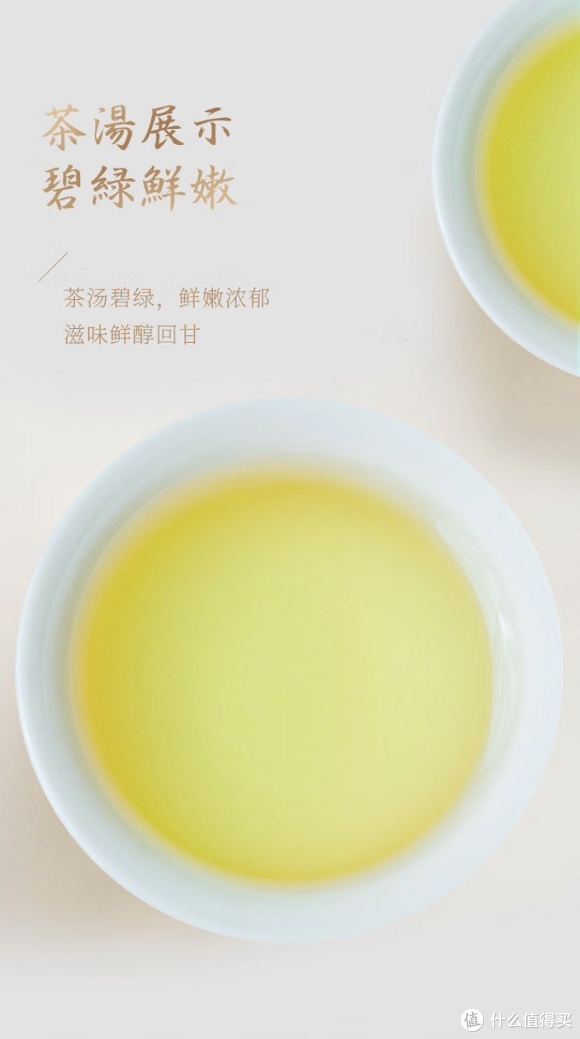 重庆也有自己的茶！永川秀芽，明前好绿茶！
