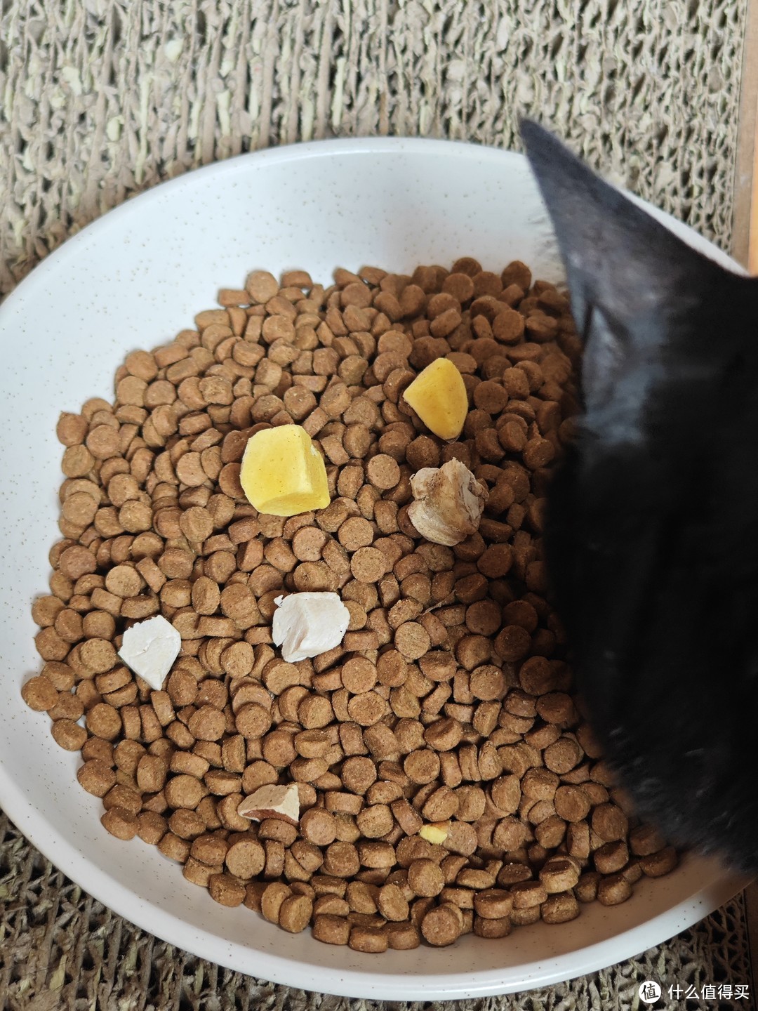 猫粮开袋测评篇一：被小黑发现外面有猫了！瞅瞅我囤的11款网易猫粮~