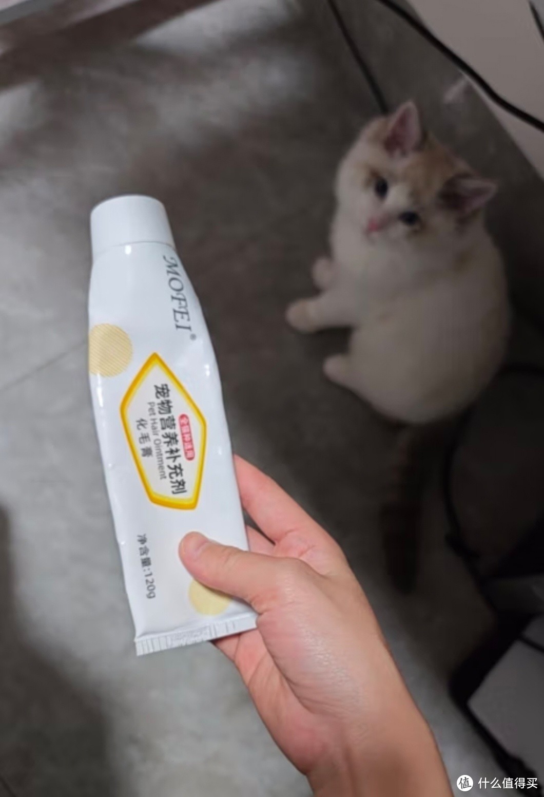 MOFEI猫咪营养化毛膏——猫咪毛球问题的好帮手