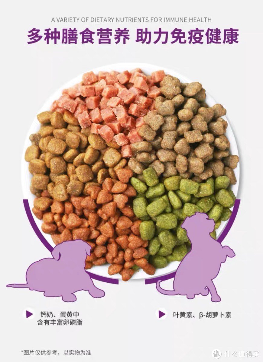 麦富迪全价营养小型犬犬粮：多食材全面营养，守护狗狗健康生态