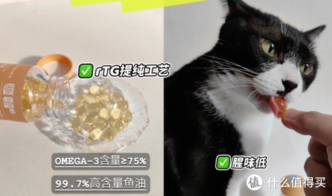 养猫好物清单｜自用分享