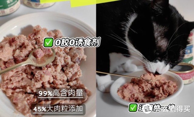 养猫好物清单｜自用分享