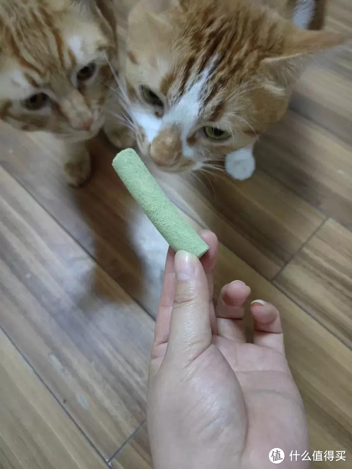 猫草磨牙棒：猫咪的健康小助手