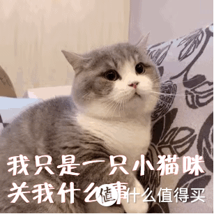 自从养了猫之后...这些场景你一定经历过！