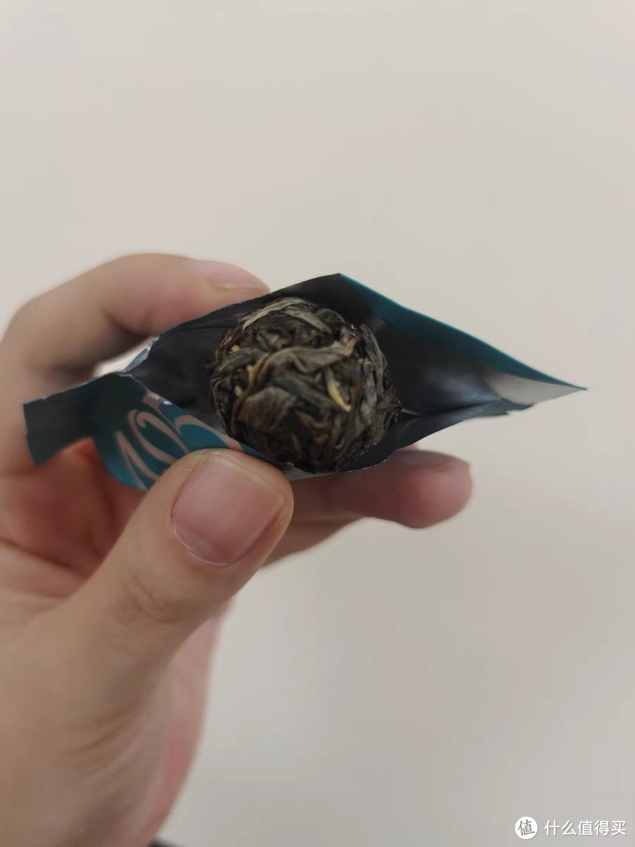 在春天喝普洱茶