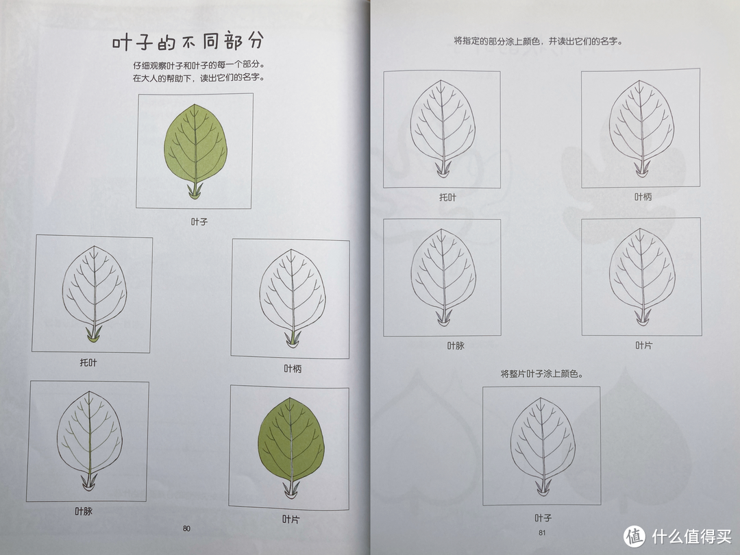 春天到了，带上这本书和孩子一起去植物园探索奥秘吧