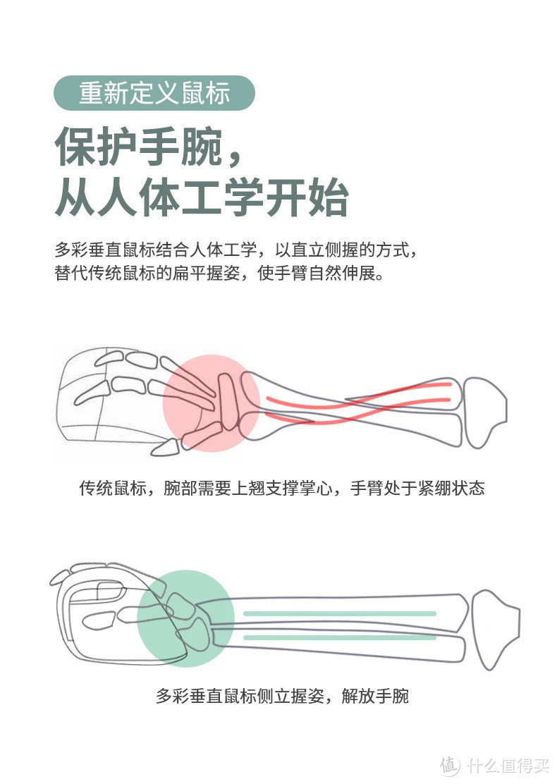 多彩M618MINI无线垂直人体工学鼠标体验,我的办公新宠