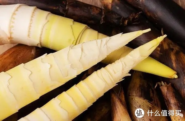 探索竹笋的多种美味吃法，一起领略春天的味道