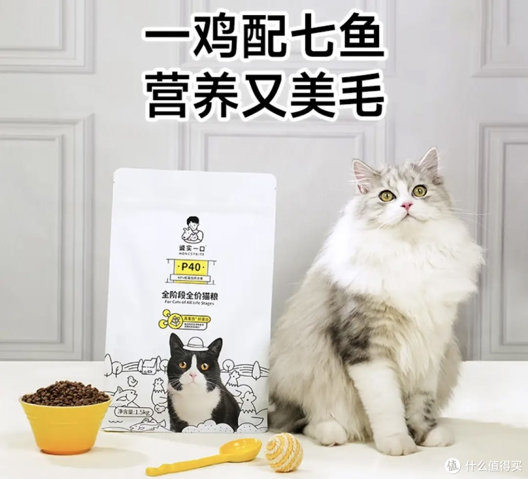 养宠的100种场景，白菜价的猫粮好物整理分享～建议收藏起来～