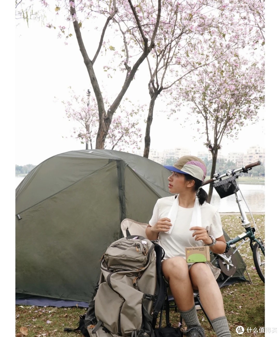 Bike Camping |扎营在白云湖的紫荆花树林下
