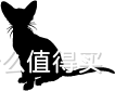 【宠物家庭必读】消毒液选购指南