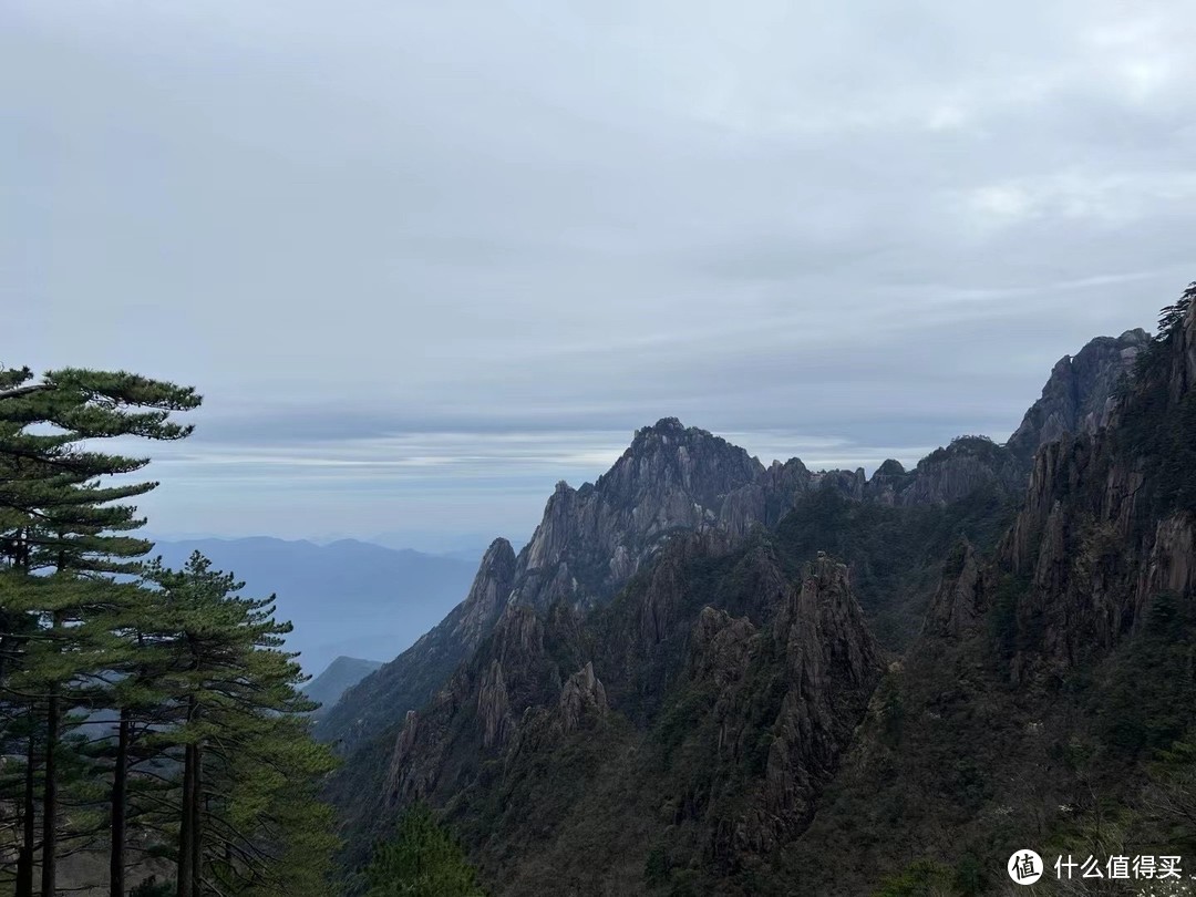 春季过敏：应对与呵护