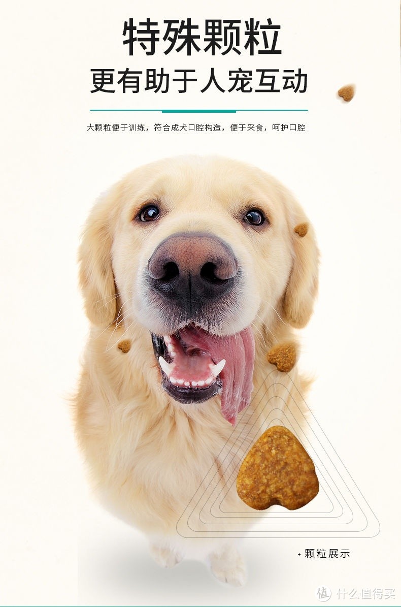 你家的狗狗喜欢吃什么牌子的狗粮？每天要吃多少？