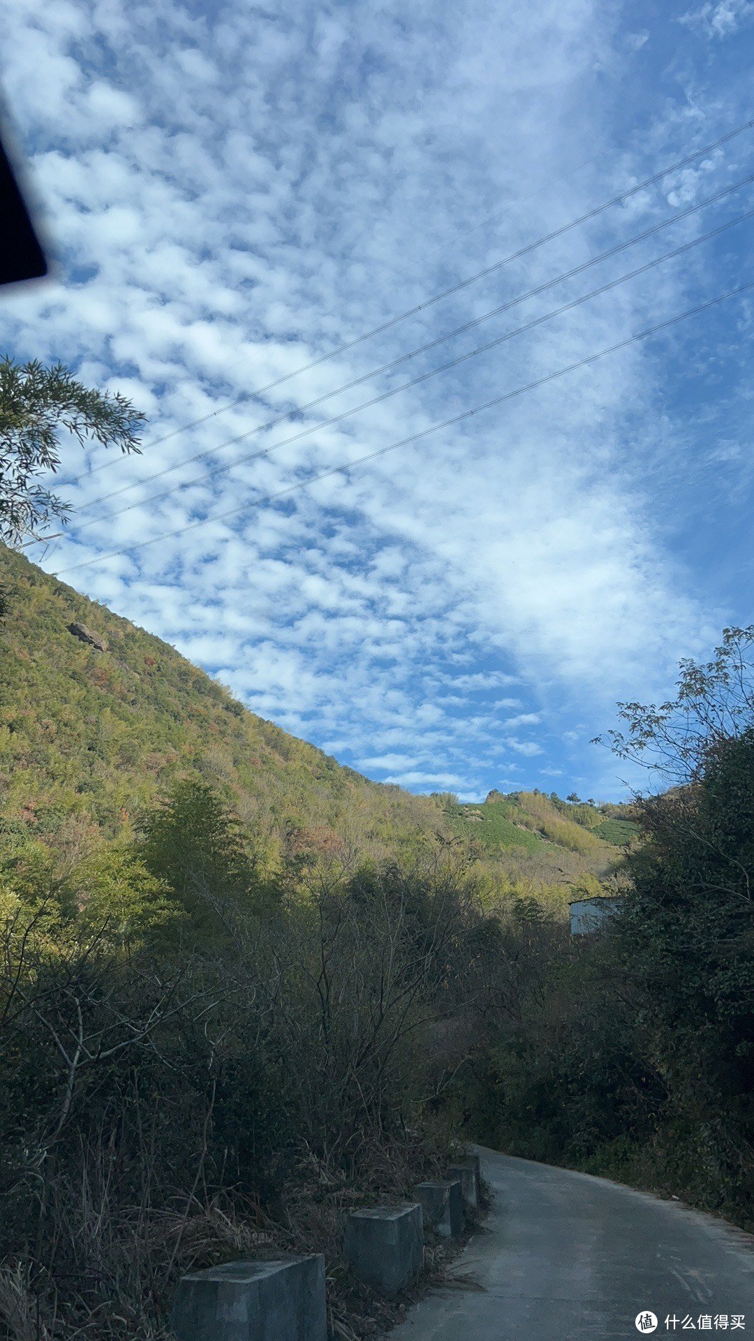 第一次见到茶山，在蓝天白云的衬托下感受春天的气息！