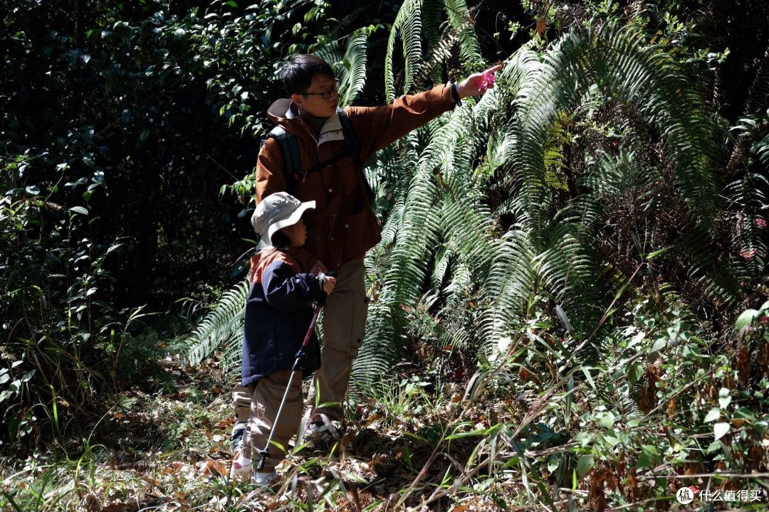云南腾冲绝对是亲子游天花板~4天3夜超强攻略！直接抄作业！