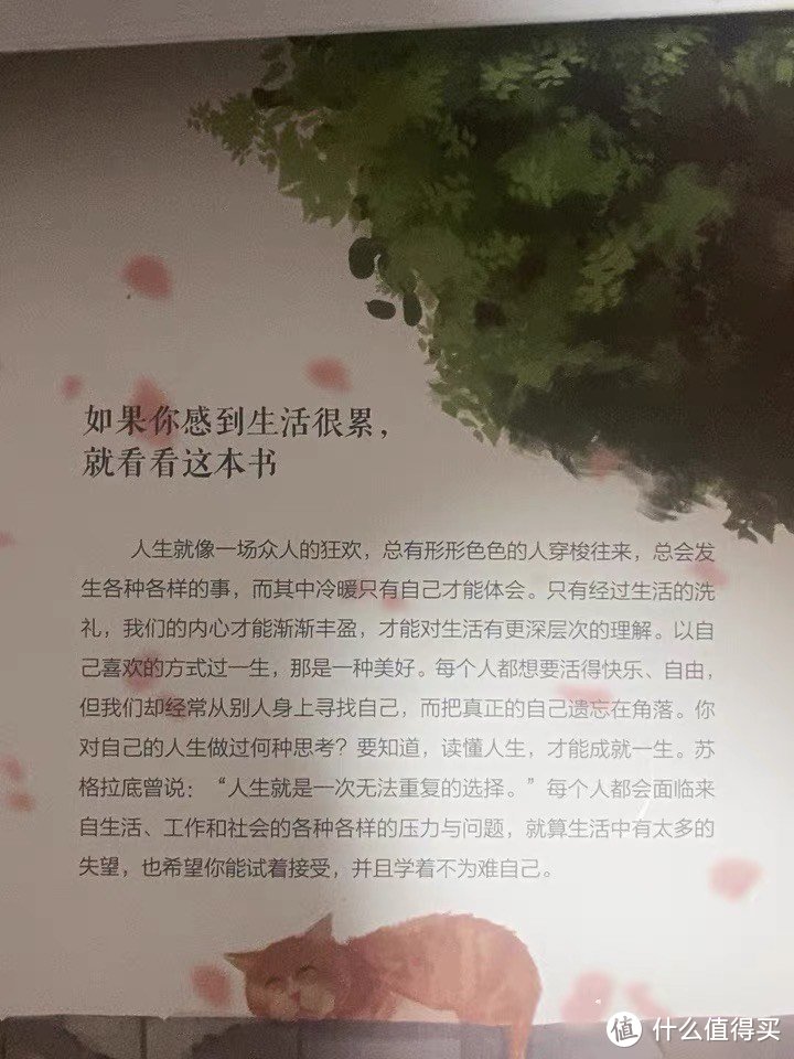 《人间值得》：一份温暖的人生指南