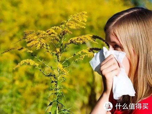 春季花粉过敏是什么原因？怎么办？