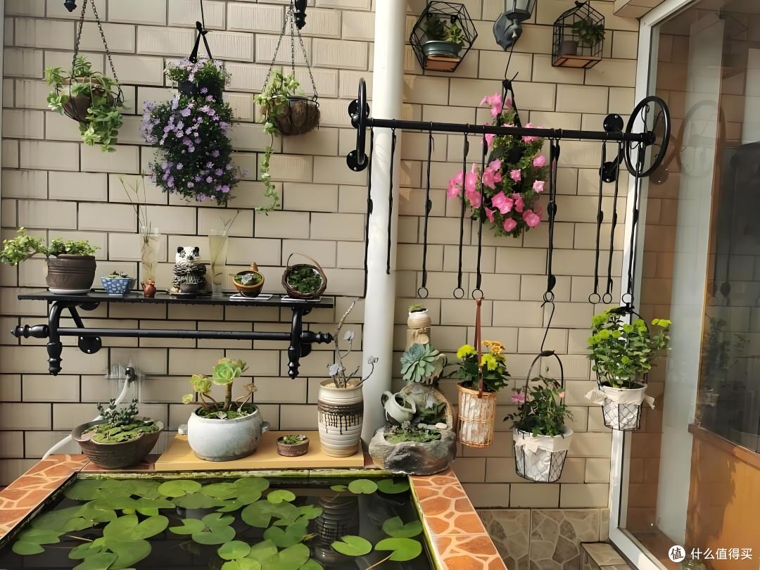 万年青在窗台上的小日子…