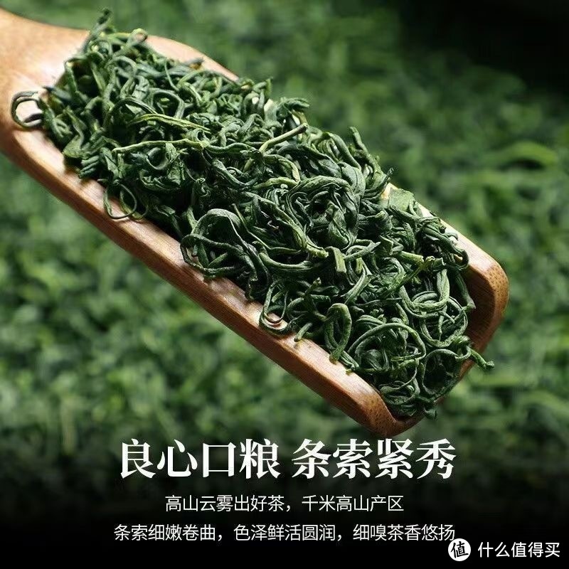 春日品新茶：茶叶鉴赏与品鉴技巧