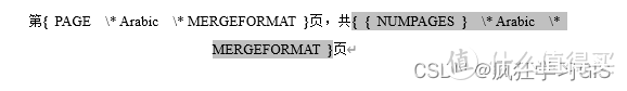 Word添加“第X页 共Y页”正文页码的方法