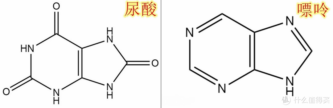 随测随到的健康小卫士，鱼跃 GU200尿酸仪为你监控“血糖+尿酸”保驾护航