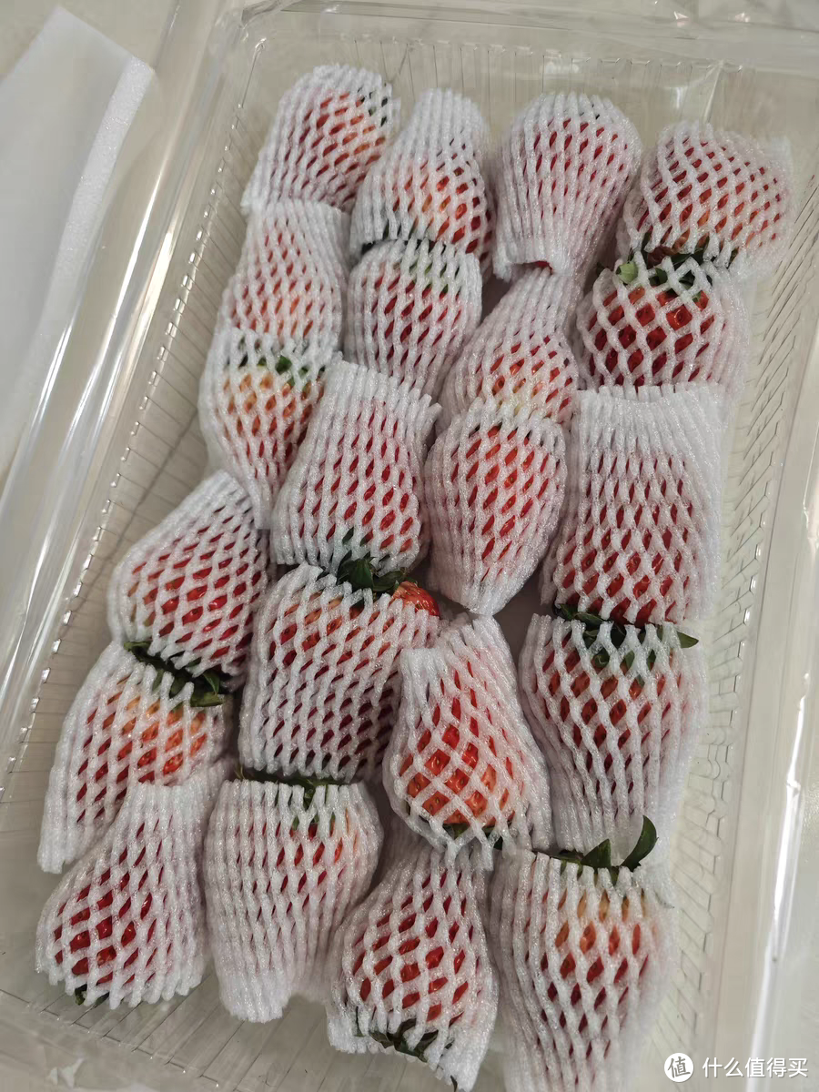非常新鲜的草莓，好吃又有营养，春季不能少的水果