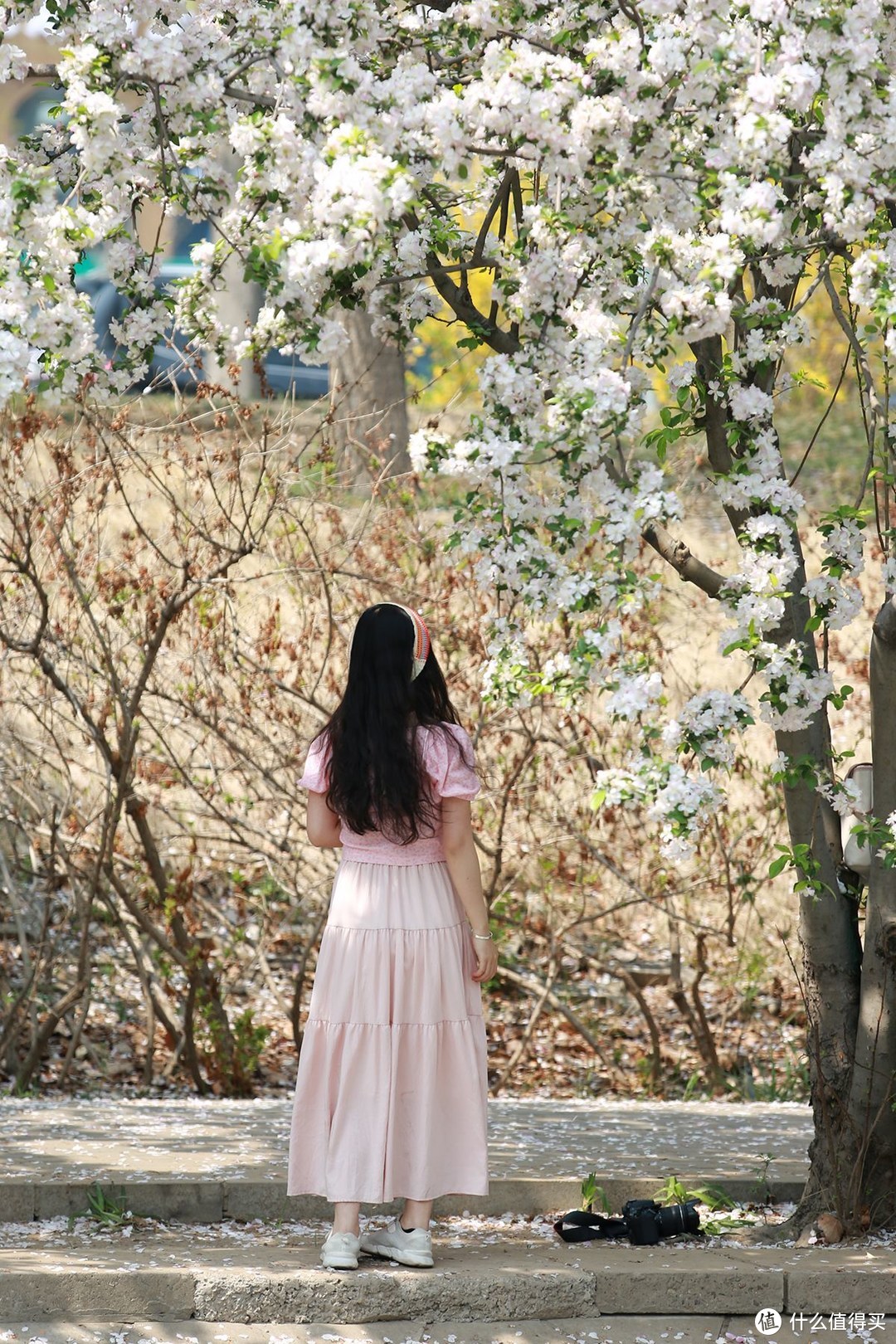 一镜走天下，海棠花溪在望京南地铁处赏花更美丽