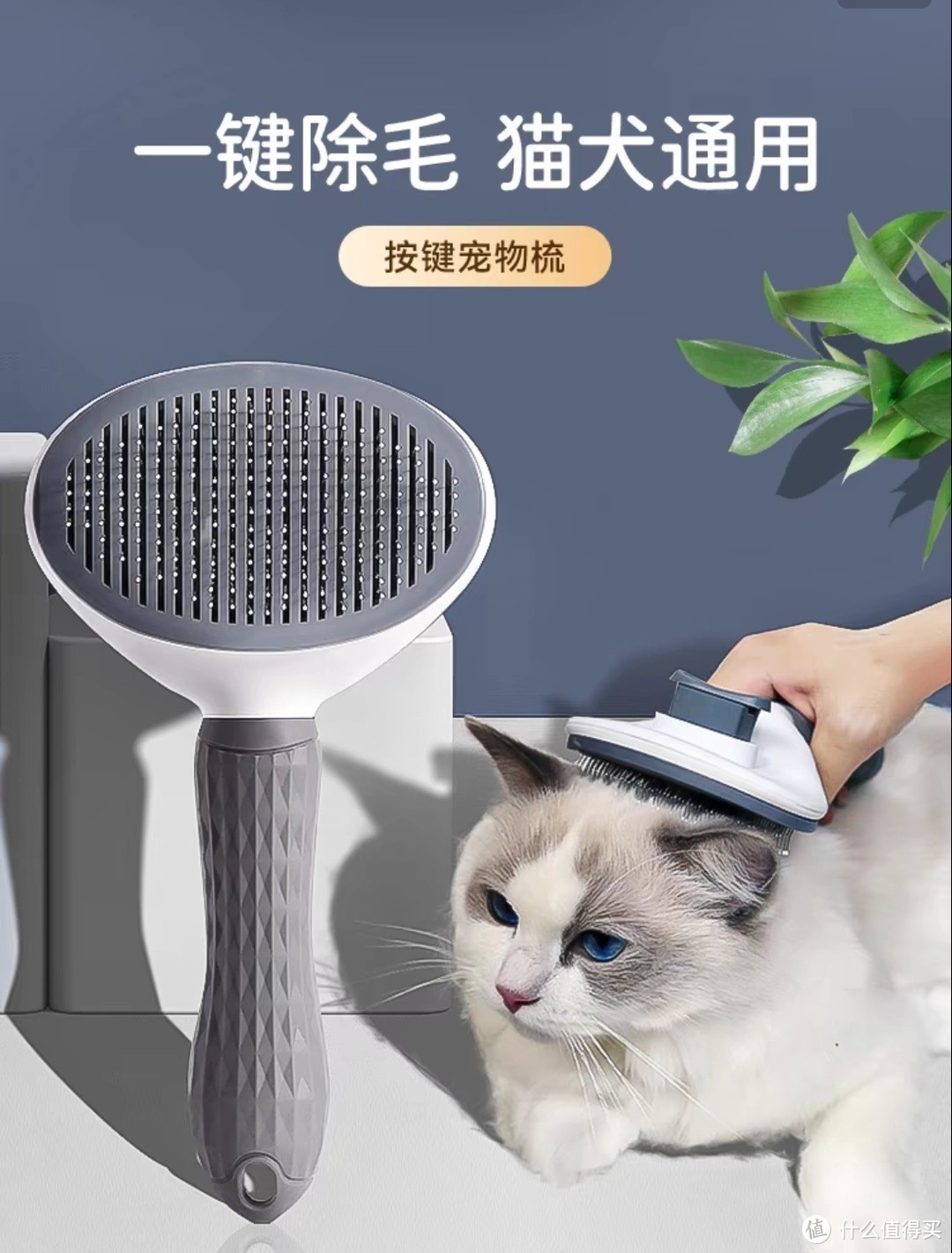 宠物除毛器，养宠物不可或缺的小工具