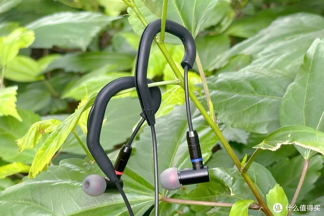 竹林鸟·百灵耳机评测：卓越工艺与高解析音质的完美融合