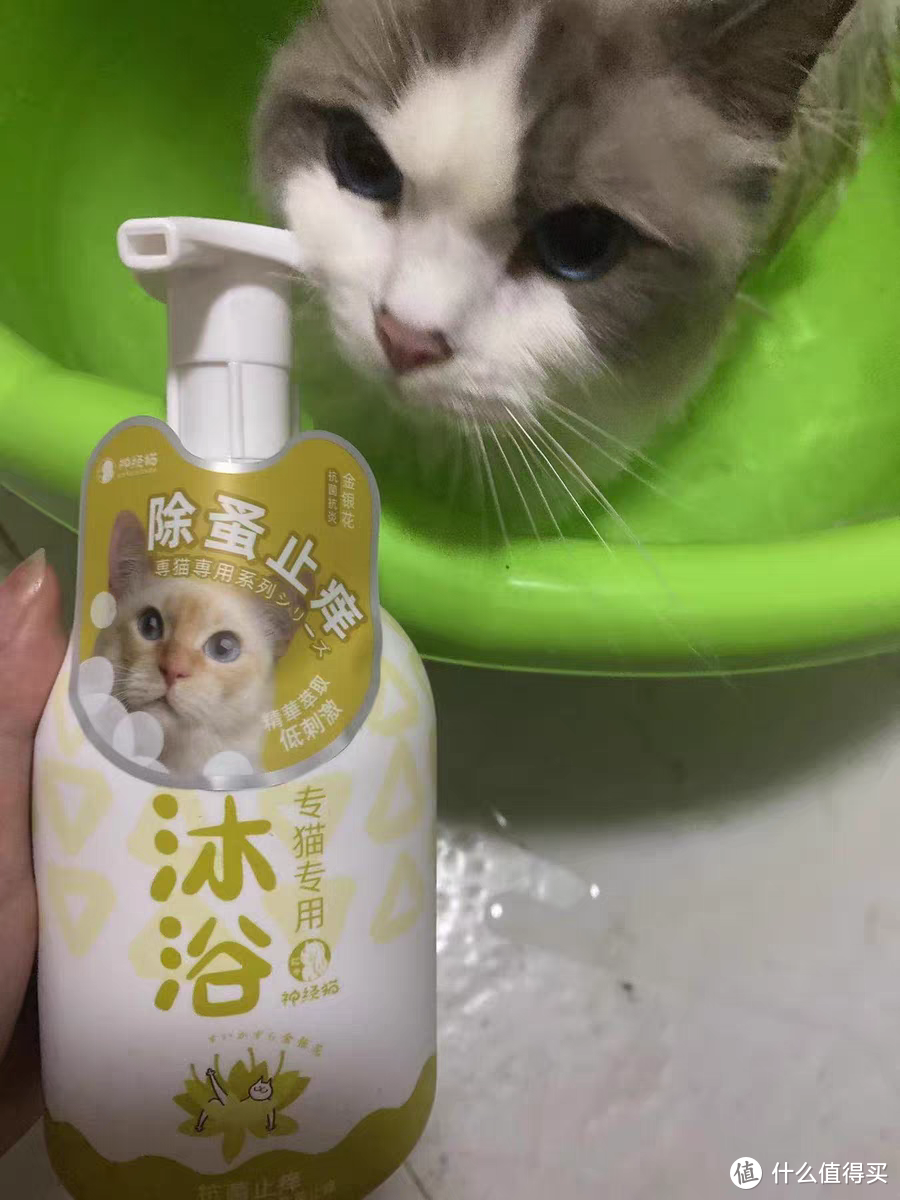 抗菌止痒的猫咪沐浴露