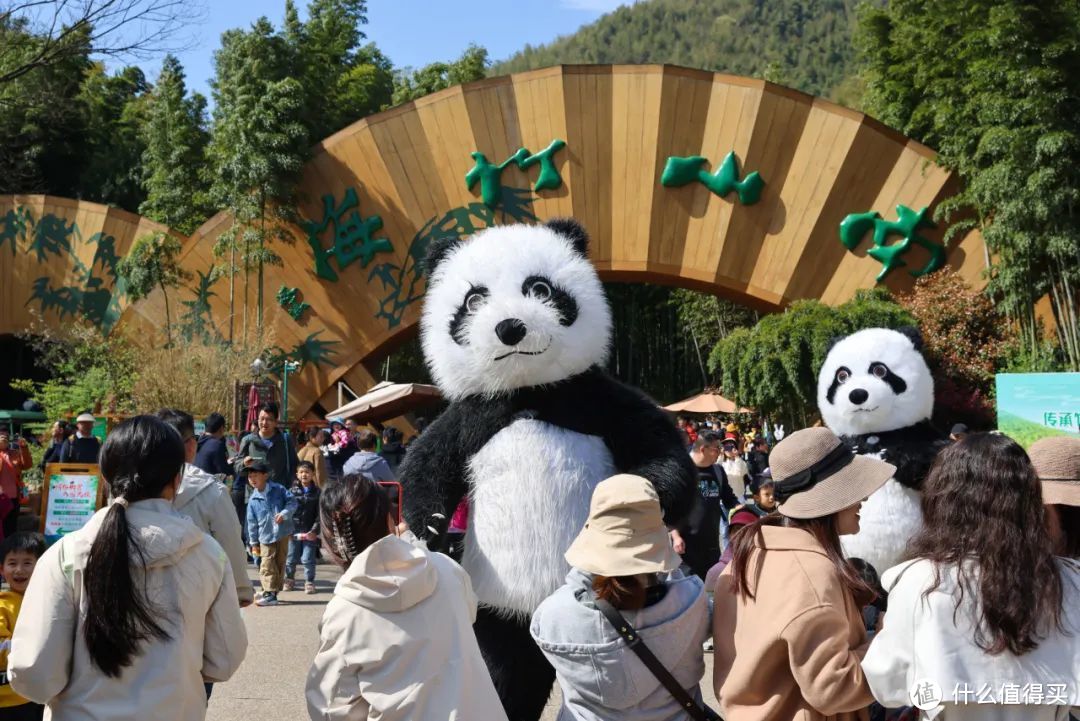 杭州高铁40分钟，在这座吃好逛好的全能型小城里，还看到了熊猫！