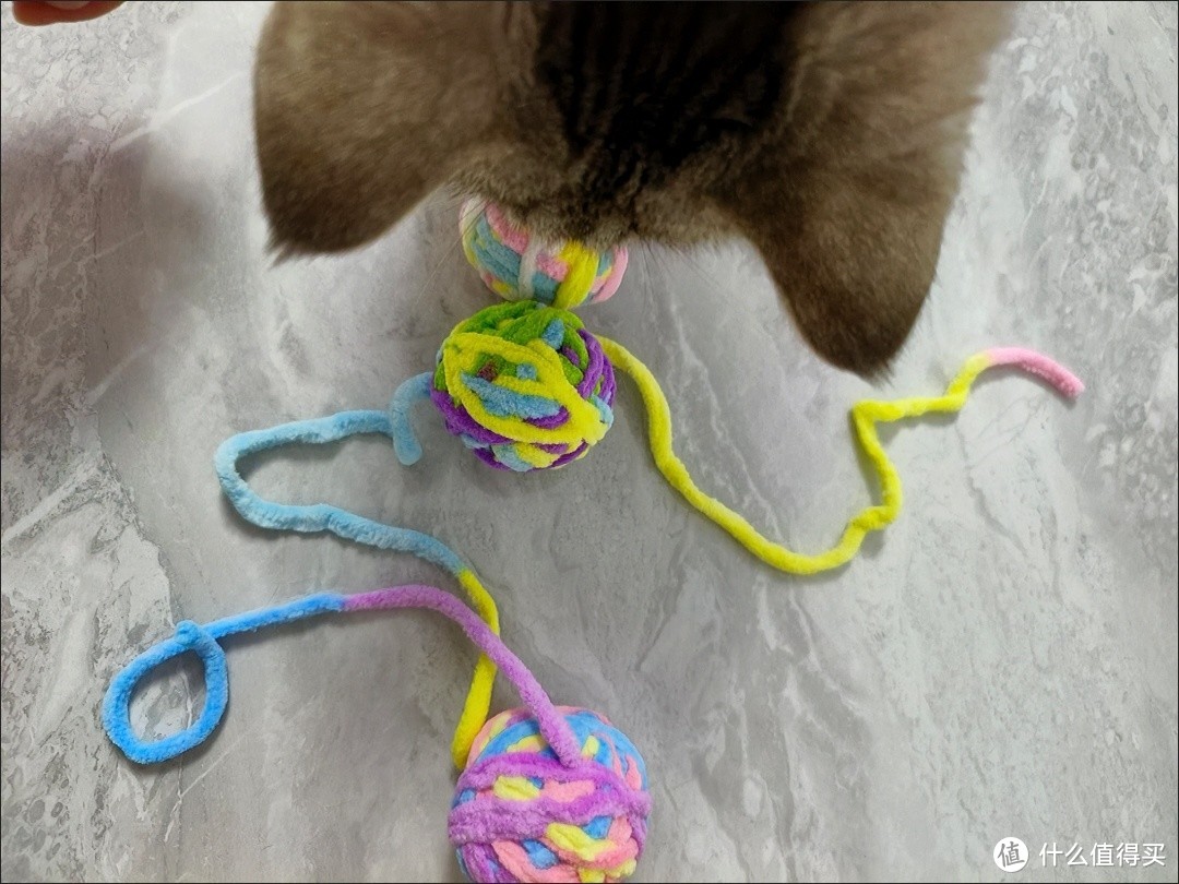 猫咪爱毛线球