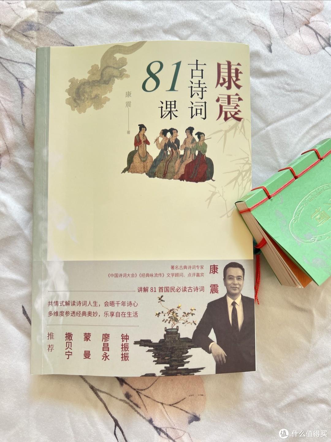 带娃学诗词——康震的《古诗词81课》