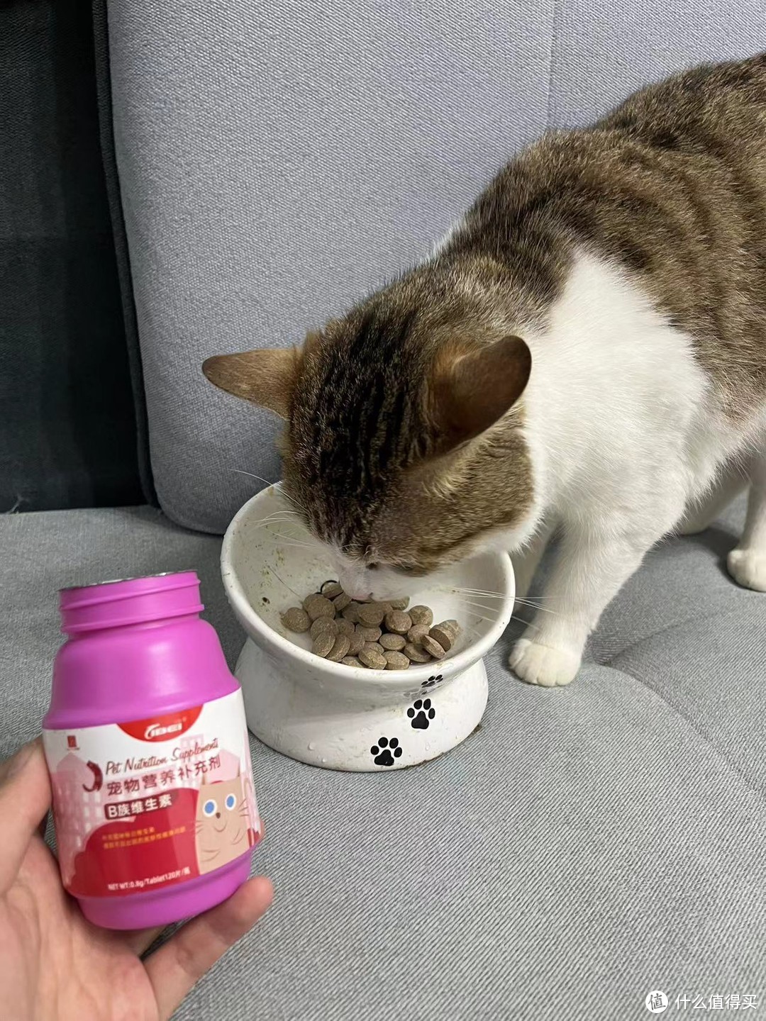 猫咪专用B族维生素，这款产品真的是猫咪健康的YYDS！